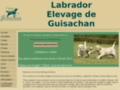 Labrador, chiot labrador Guisachan